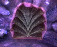A "door" found on Phaaze