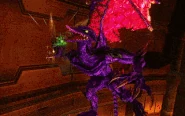 Ridley grab.gif (2.71 MB) Ridley grab