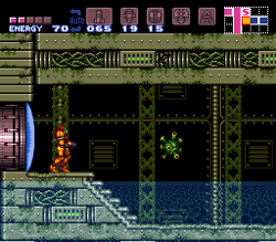 Bull en la Wrecked Ship