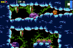 Brinstar hidden shaft.png