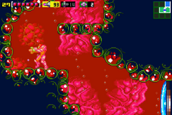 Lava-filled passage.png