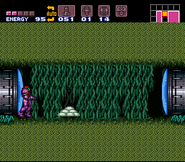 Puyo eggs.png (5 KB) A pile of white Puyos.