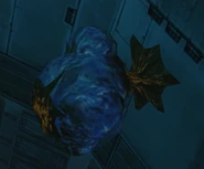 An Aqua Sac inside the crashed Frigate Orpheon