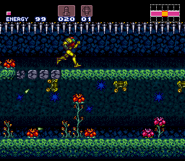 Unnamed flowers in Brinstar in Super Metroid that resemble Samus Eaters
