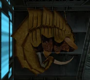 Nova en Metroid Prime