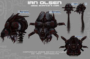 Ian Olsen