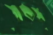 Bombing Run Command Visor.png