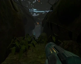 Helechos Tallonianos