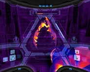 Thermal imaging of contained Shriekbat.