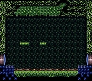 Full view in Super Metroid.