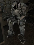 SPC M. Angseth's body