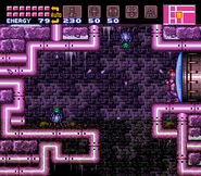 Purplecac.jpg (322 KB) Purple Cacatacs in Maridia.