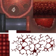 HiddenSaturn.png (68 KB) A hidden Mr. Saturn sprite can be seen on the Metroid through hacking.