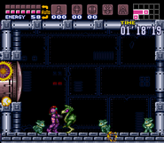 Etecoons trapped in Crateria