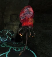 Screenshot of a Hunter Metroid