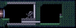Brinstar reliquary full view.png