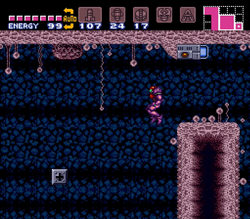 Pink Brinstar Hopper Room.png