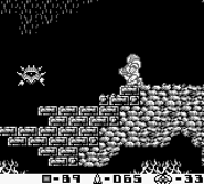 A Senjoo outside the Chozo ruins in Phase 3