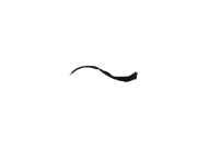 Darkling Tentacle.png