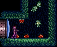 Etecoons in Brinstar