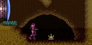 Owtch in Super Metroid.