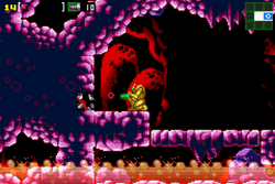 Western lava-filled path MZM.png