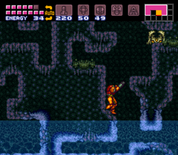 Winding Passageway.png