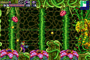 Flora resembling Blob Throwers in Metroid Fusion