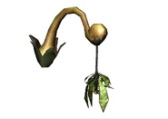 Unknown plant, which is likely an unused creature.