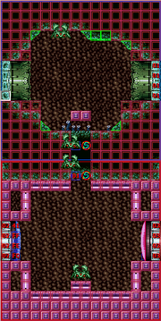 Sciser hole SMILE