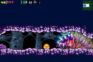 Kiru Giru larva hall second Kiru Giru.png (567 KB) The second Kiru Giru.