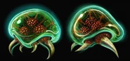 MPR Biology 14.png (2.25 MB) Tallon Metroid