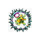 Virus20X.gif