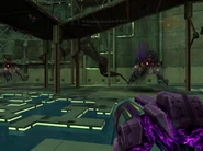 Black fog possesses a pair of Quad, turning them into Dark Quad.