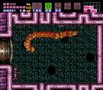 Ботвун плывает между норами. Этот цвет означает, что он движется относительно быстро.