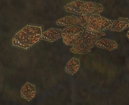 Impact crater fish.png (206 KB) Closeup of the protozoans swimming around.