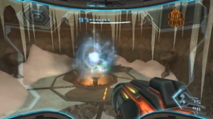 Warp Site