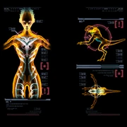 Неиспользованные изображения .