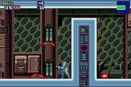 PuyoX.png (78 KB) Samus faces several Puyos in Sector 2 (TRO).