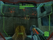 Weeds growing on a wall in one of the exit chambers.