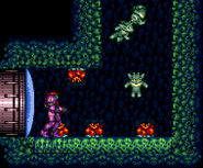 Infierno Etecoones SM.jpg (204 kB)