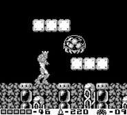 Phase 9 Larva.gif (6 KB) A Metroid larva in Phase 9