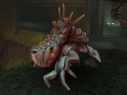 Fargul Hatcher.png (806 KB)