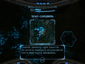 Gully lichen scan dolphin hd