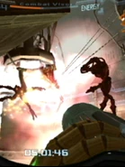 The second slideshow image.