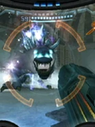 The second slideshow image.