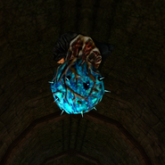 Seedling.png (320 KB) A Seedling in Temple Hall