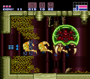 Metroid skip