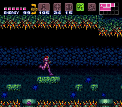 Jungle trap.png