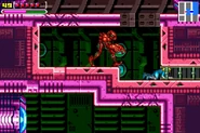 A Zebesian chases Samus into the tunnel.